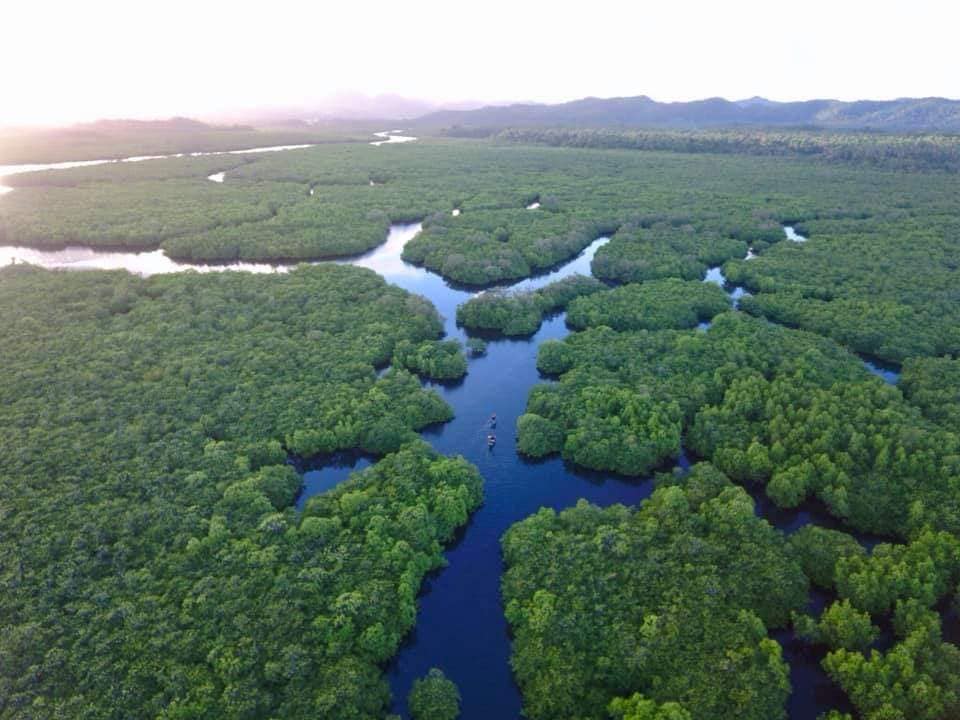 Marine governance in Del Carmen, Siargao Islands